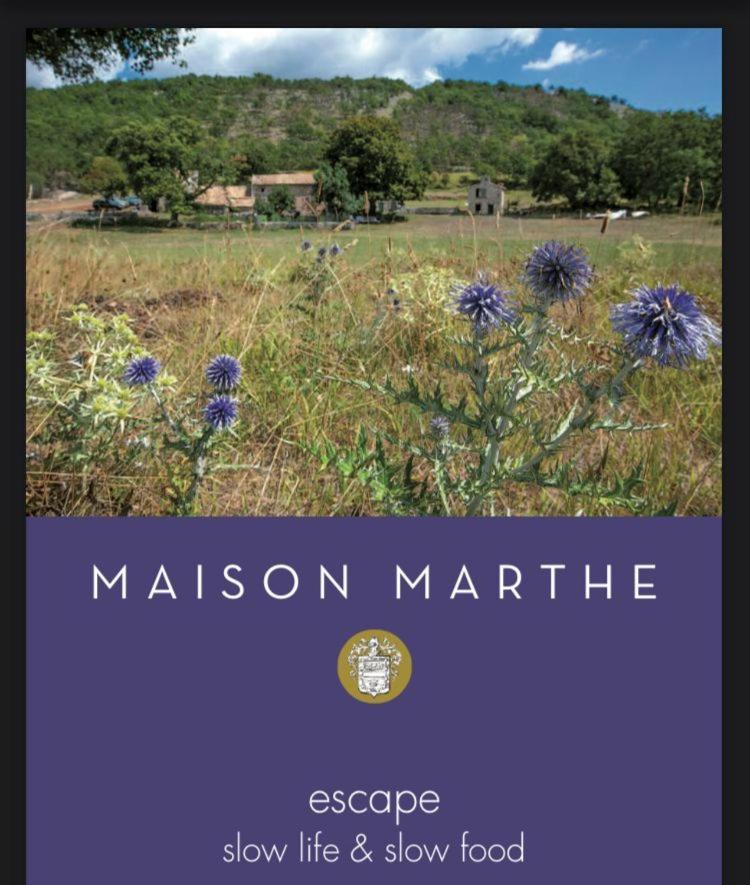 Maison Marthe - Maison Nomade Chic Coursegoules Экстерьер фото